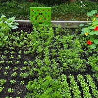 PlantPro | Georganiseerde tuin en perfecte plantgids