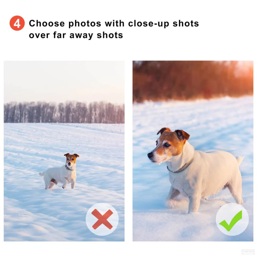 Paintly | Schilder jouw dierbare herinneringen met een Custom-Paint-by-Number schilderij