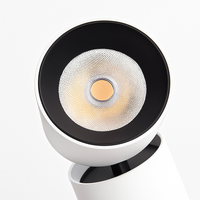 Verstelbare LED spotcilinder