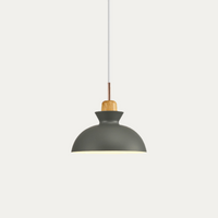 Valarie Scandinavische Houten Hanglamp