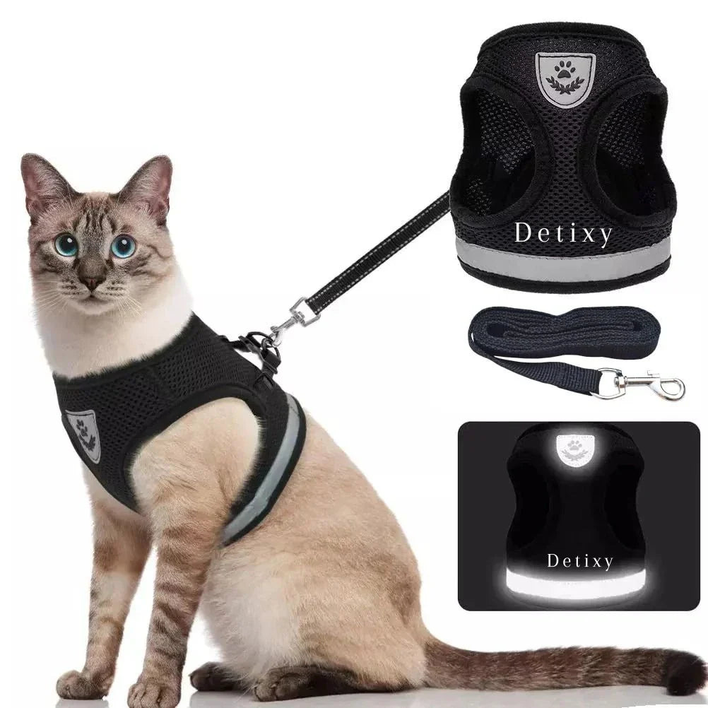 Purr Leash Kattenharnas | Houdt je huisdier zichtbaar en veilig tijdens avondwandelingen.