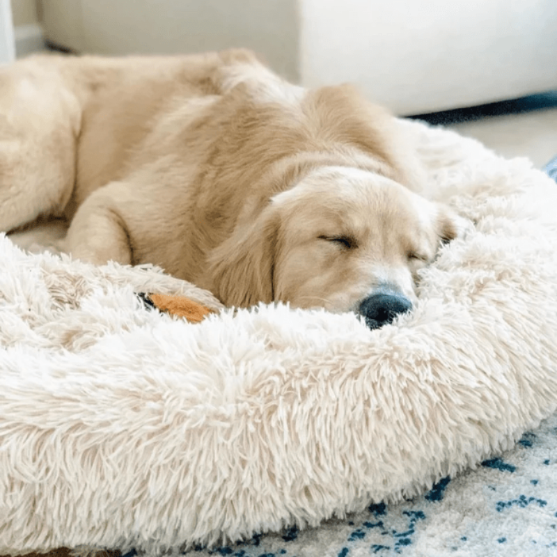 Rund Plüsch Kalmerende Donut Hondenbed voor kleine tot grote honden