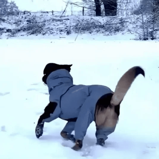 Honden Regenjas met Benen - Waterdichte Hondenjas voor Kleine en Grote Rassen | UK Cozy Winterkleding