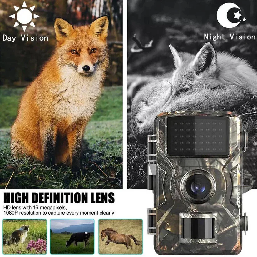 Buiten Wildlife Camera met Nachtzicht – Betrouwbaar en Weerbestendig