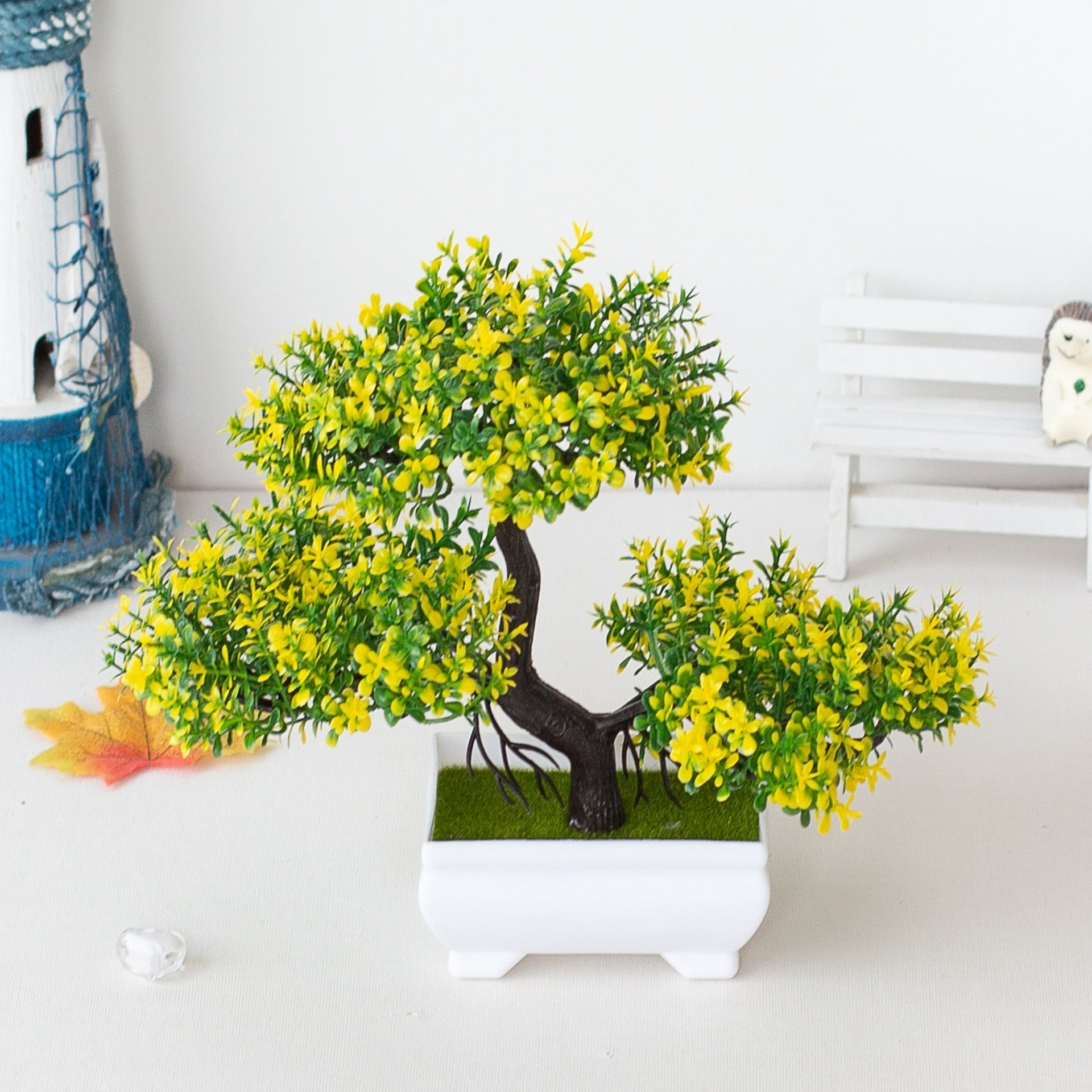 Skanto | Bonsai Plant