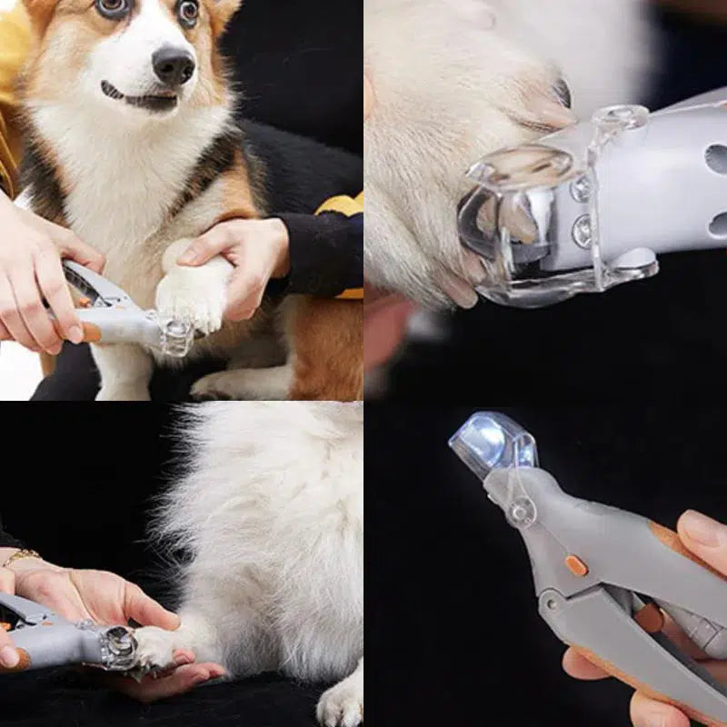 MAX Nagelknipper voor Honden & Katten met LED-Licht en Vergrootglas