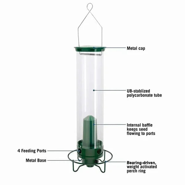 Eekhoornbestendige Automatische Vogelvoeder