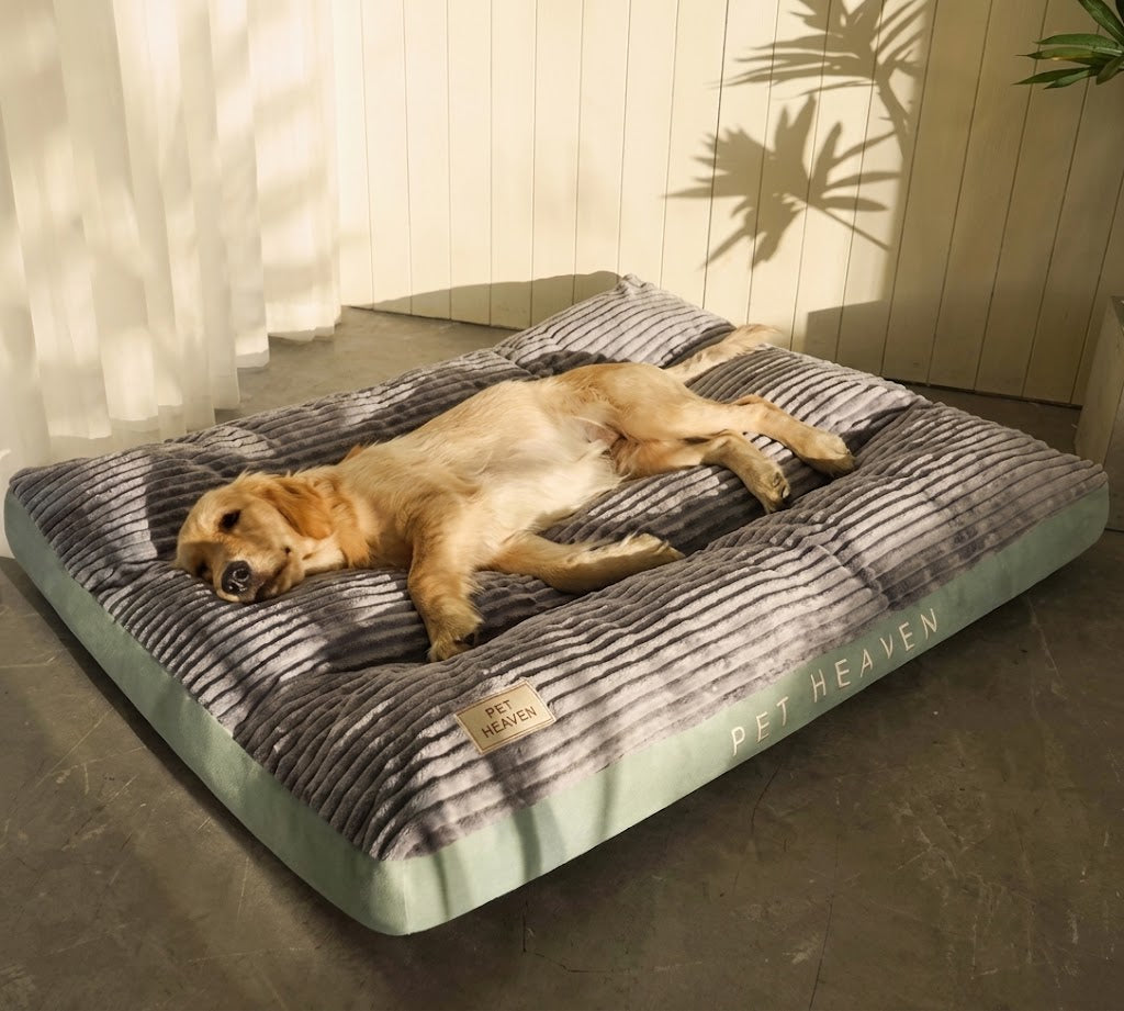 Orthopedisch Hondenbed Comfortabel | Bed met Ondersteunend Kussen voor Grote Honden met Antislip Basis