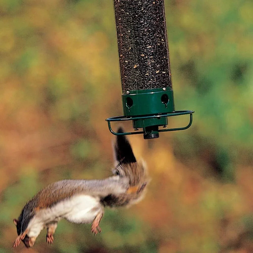 Eekhoornbestendige Automatische Vogelvoeder