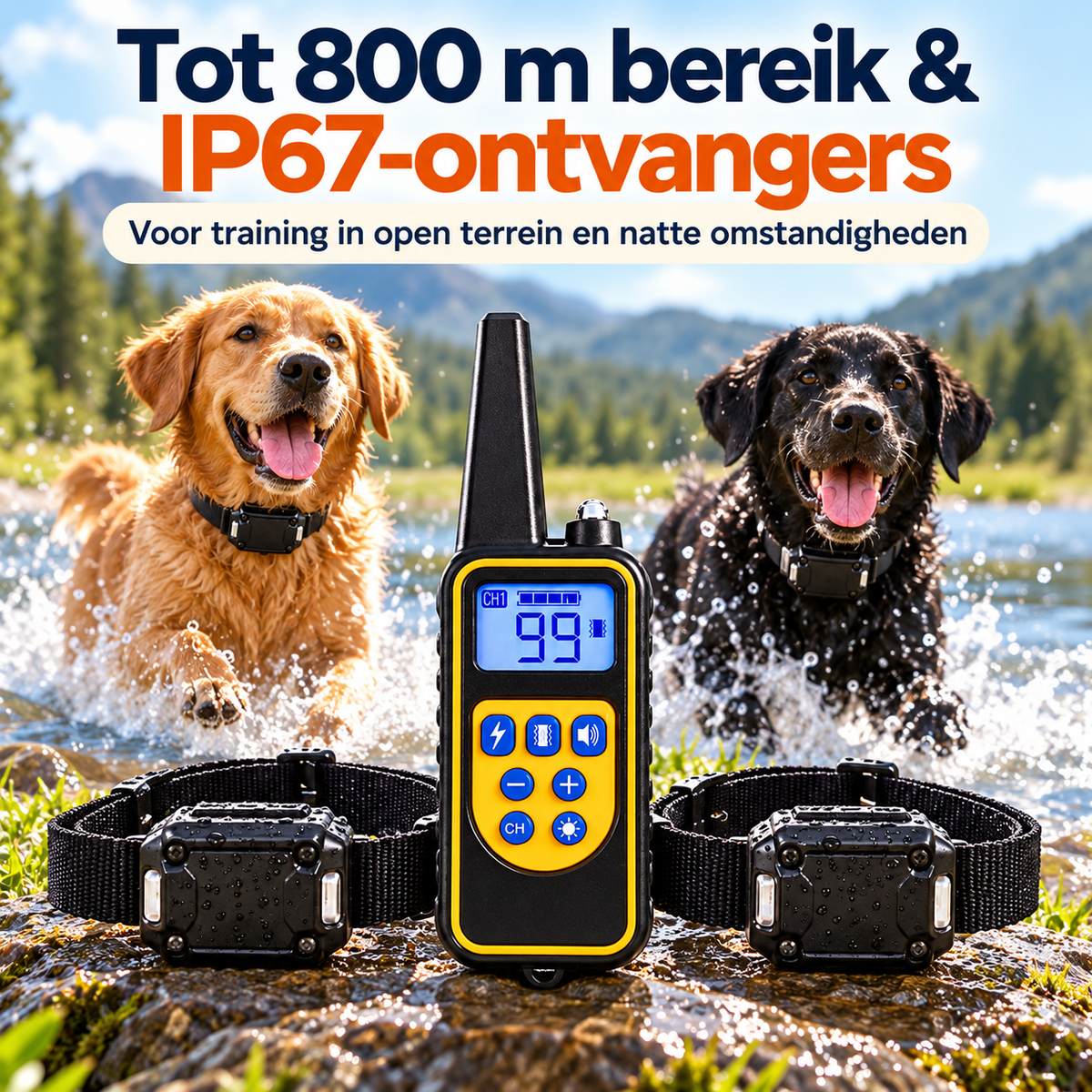 PROCANIS – Trainingshalsband voor 2 Honden met Afstandsbediening, 2 Ontvangers & 3 Modi