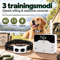 Draadloze Hondenomheining voor Camping & Caravan – 2-in-1 Trainingshalsband