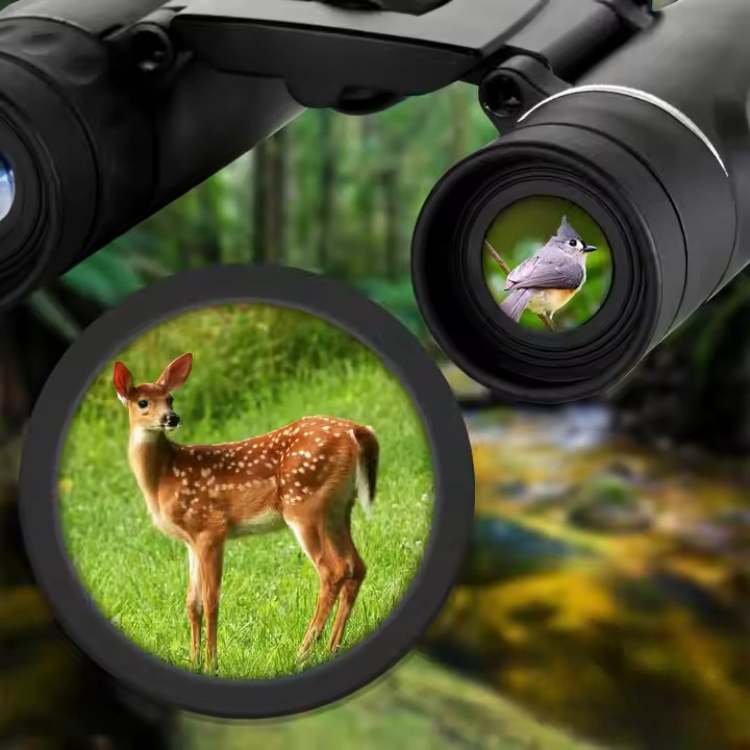 EagleEye 40x22 HD Verrekijker voor Vogelspotting