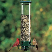 Eekhoornbestendige Automatische Vogelvoeder