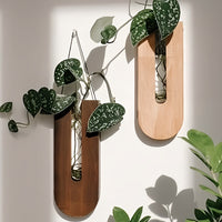 Set van Houten Wandplantenhouders voor Kamerplanten met een Minimalistisch en Natuurlijk Ontwerp