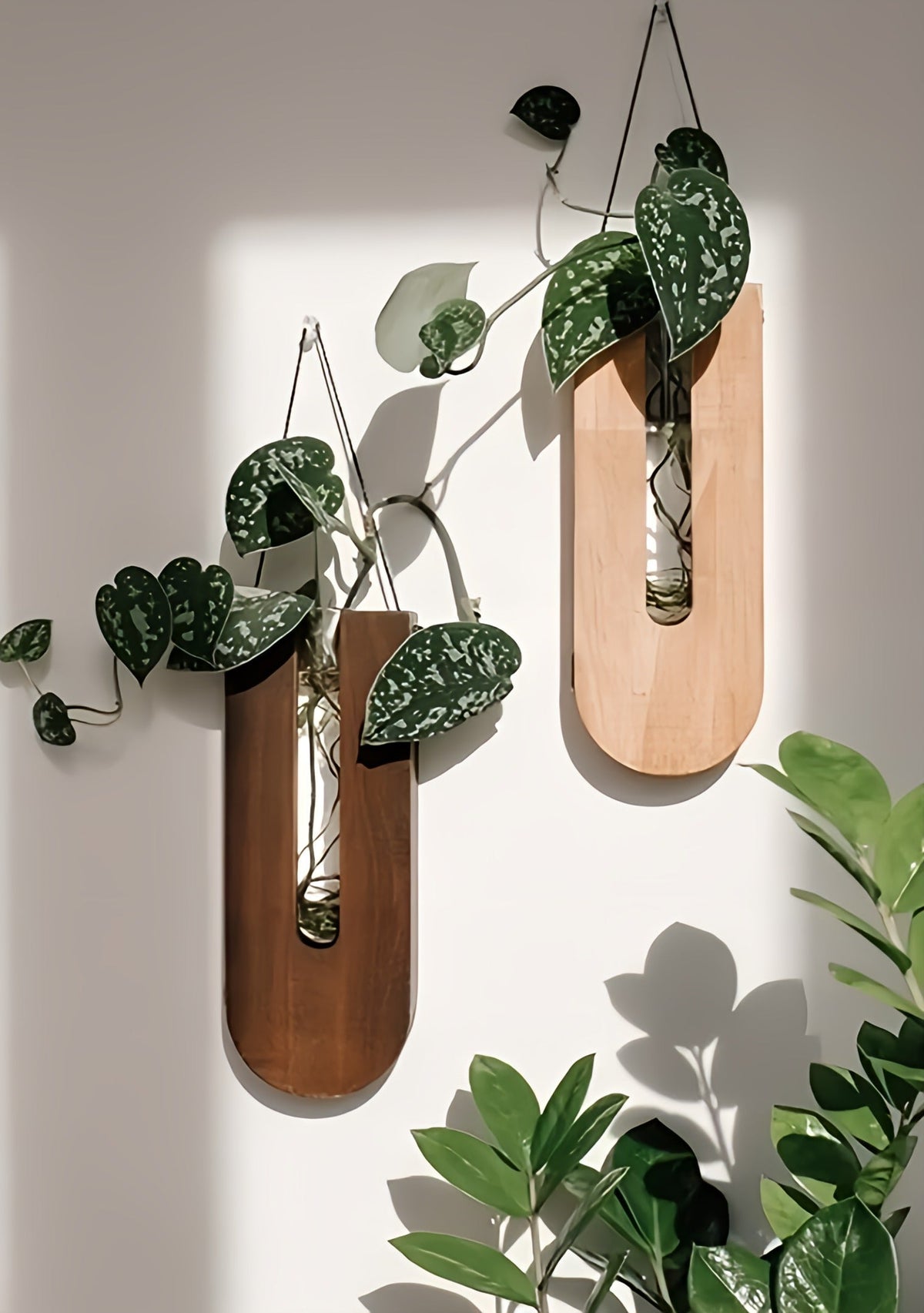Set van Houten Wandplantenhouders voor Kamerplanten met een Minimalistisch en Natuurlijk Ontwerp
