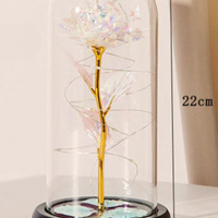Perpetuele Rozen Dome Licht