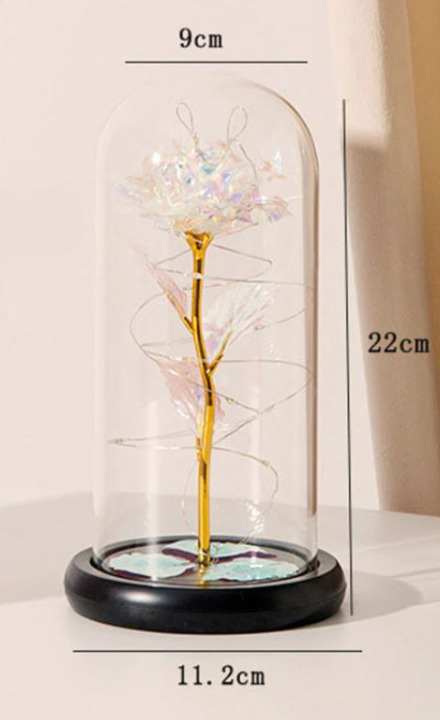 Perpetuele Rozen Dome Licht