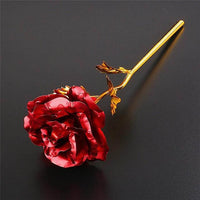 Eternity Rose 24K Goudgeplateerd Folie Cadeau
