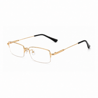 Titanium Progressieve Ver- en Nabijzicht Dual-Use Leesbril