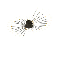 Arisha Industriële LED Plafondlamp Zwart/Goud Woonkamer Metaal