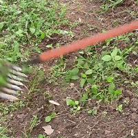Onkruidhark voor tuinonderhoud | Robuuste tuinhark | WortelKracht