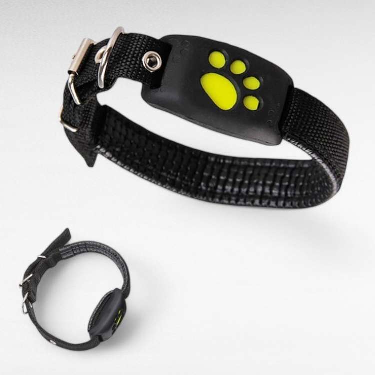 FindMyDog GPS Tracker – Real-time Tracking met Veilige Zone Alerts en 300 Uur Batterijduur