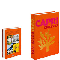 Stijlvolle Decoratieve Accentboeken