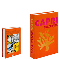 Stijlvolle Decoratieve Accentboeken