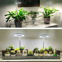 AdjustPlant | Verstelbare LED-Plantenlamp – Optimale Licht voor Gezonde Groei