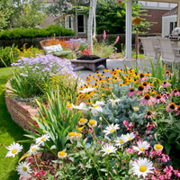 FlowerBloom™ | Meerjarige bloemenmix voor eenjarige bloeipracht