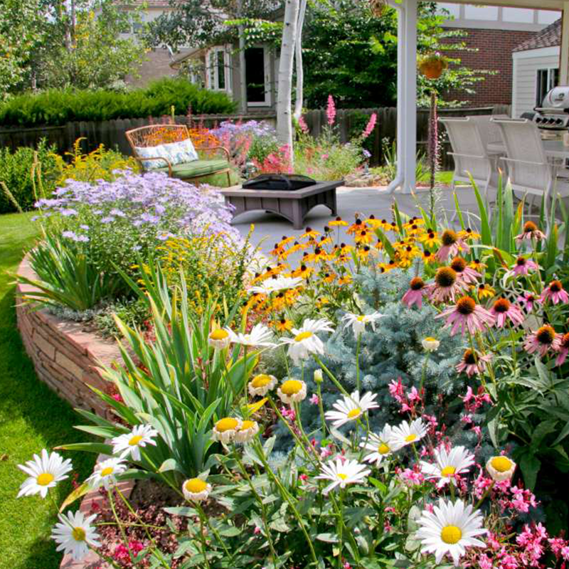 FlowerBloom™ | Meerjarige bloemenmix voor eenjarige bloeipracht