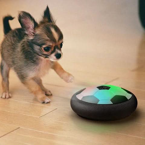 ChaseSpark – Interactieve Speelbal voor Honden met Onvoorspelbare Bewegingen