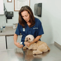 PawGuard Pro Nagelknipper met Slimme Snelsensor Technologie