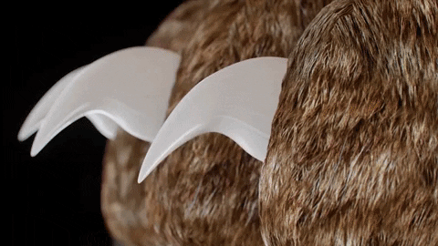 PawGuard Pro Nagelknipper met Slimme Snelsensor Technologie