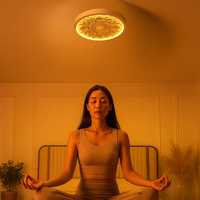 GlowMira | Moderne Hars Plafondlamp met Variabele Lichtkleur