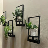 Wandhouder voor Planten | Plantenwand binnen | GroenWand