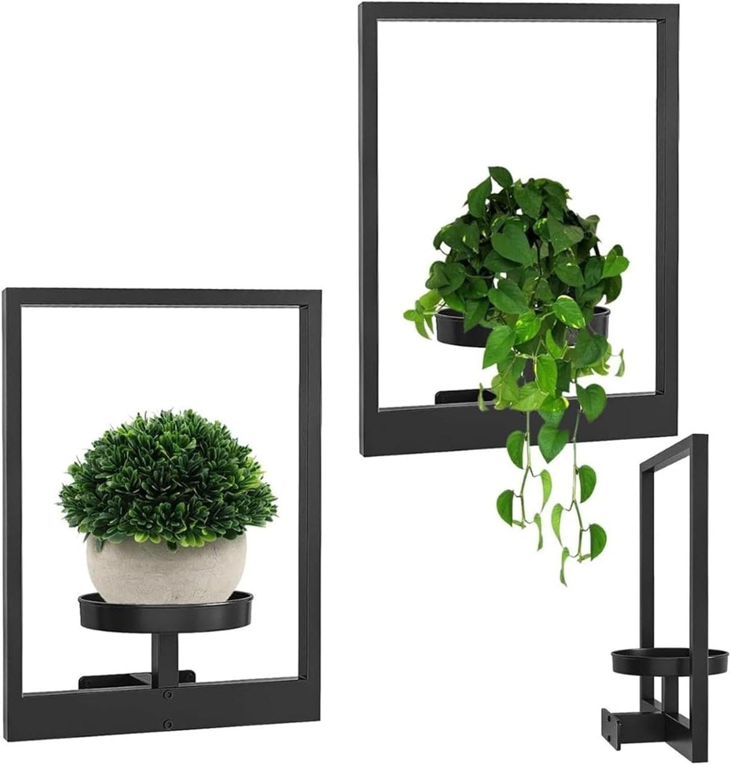 Wandhouder voor Planten | Plantenwand binnen | GroenWand