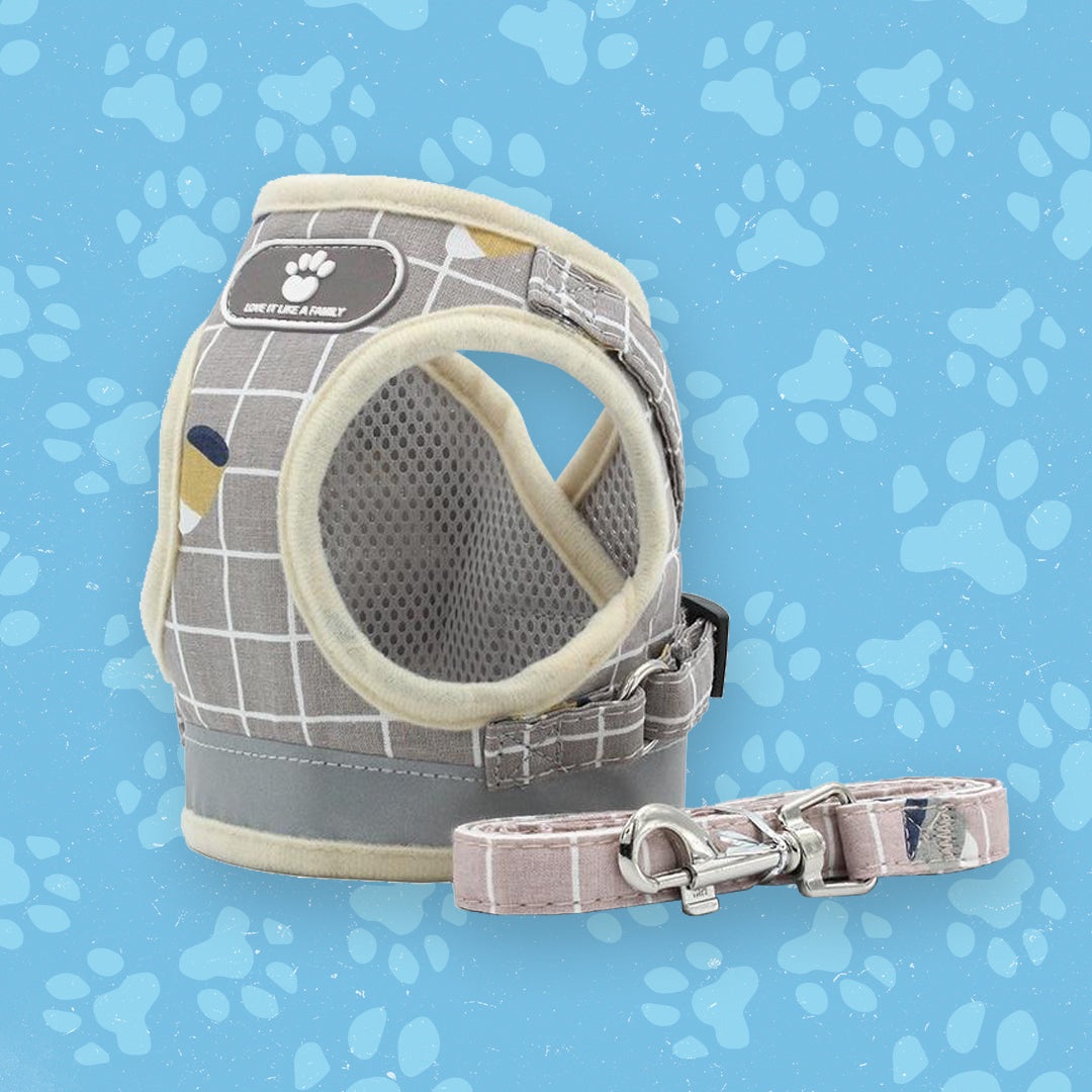 Comfort Flex Kattenharnas | Zorgt voor veilige, onbeperkte bewegingsvrijheid voor nieuwsgierige katten.