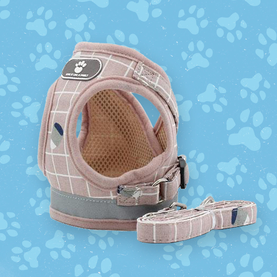 Comfort Flex Kattenharnas | Zorgt voor veilige, onbeperkte bewegingsvrijheid voor nieuwsgierige katten.