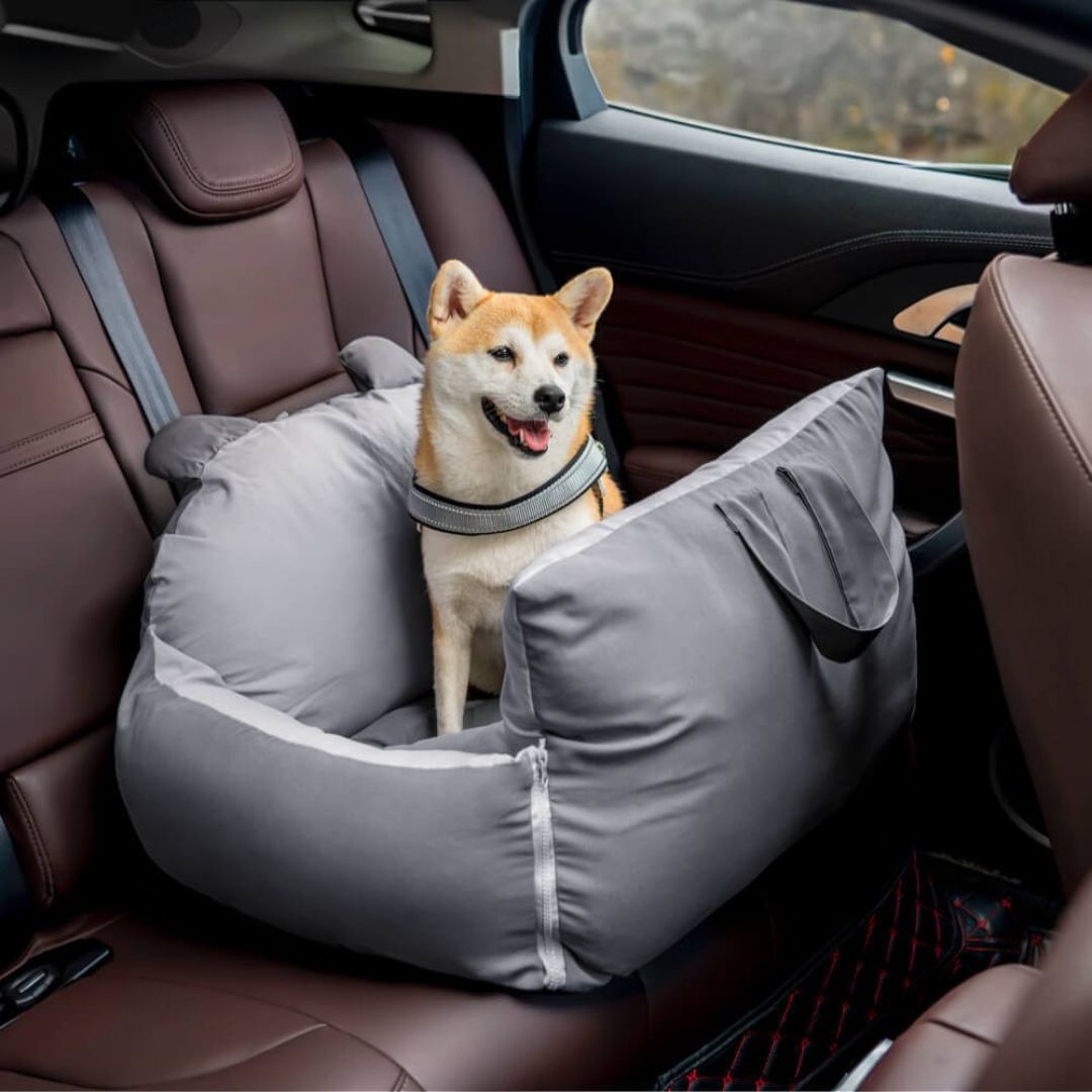 Honden Autosstoel | Hondenstoel voor de Achterbank | Honden Auto Transportbox | HondenBox