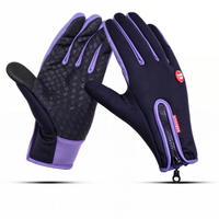 Winddichte Thermische Handschoenen - Warm en Gadgetvriendelijk