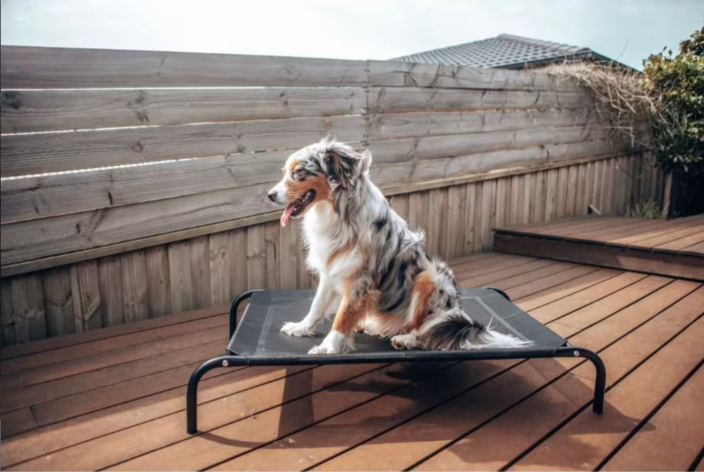 LuxePaws Elite Huisdier Hangmat | Stijlvolle en comfortabele hangmat voor de ultieme ontspanning van je harige vriend
