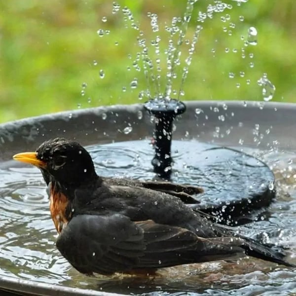 SolarFlow™ | Zonne Springbrunnen – Drijvend, zonder stroom & waterdicht