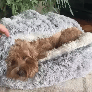 Skanto | Cozy Cave Pet Bed | Rustgevende en Comfortabele Hondenbed voor Diepe Ontspanning