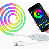 Neon-touw-LED-lampen met app-besturing - aanpasbaar verlichtingsontwerp