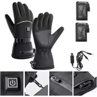 Elektrische Winterhandschoenen - Verwarmd | 3 Temperatuurinstellingen | Waterdicht
