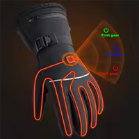 Elektrische Winterhandschoenen - Verwarmd | 3 Temperatuurinstellingen | Waterdicht