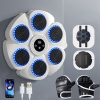 Skanto | Interactieve Slimme Boksmachine - PunchTech