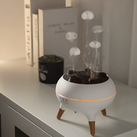 Luchtbevochtiger & Diffuser | Aromadiffuser met LED Licht & Timer | JellyTraum