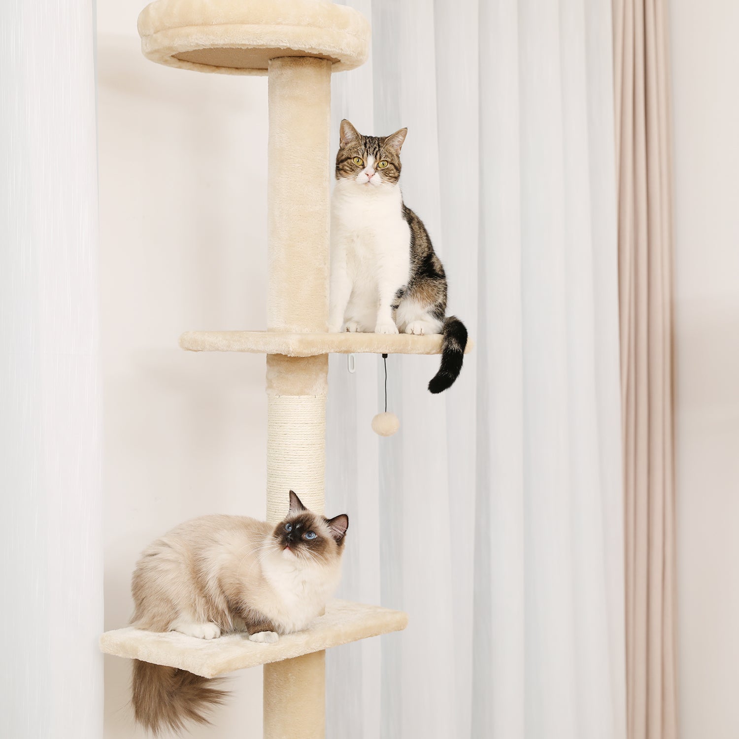 Compacte Verstelbare Kattenklimmer | Veilig en stijlvol met sisal krabpalen